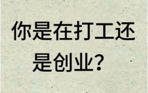 从月薪思维到资本效率：为什么创业者再也回不去职场？